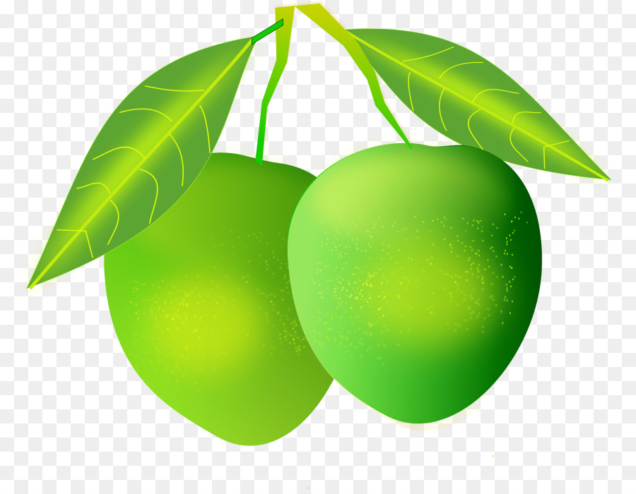 Mango clipart different fruit. Leaf graphics transparent 