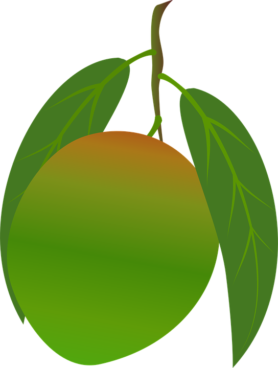 mango clipart dotted