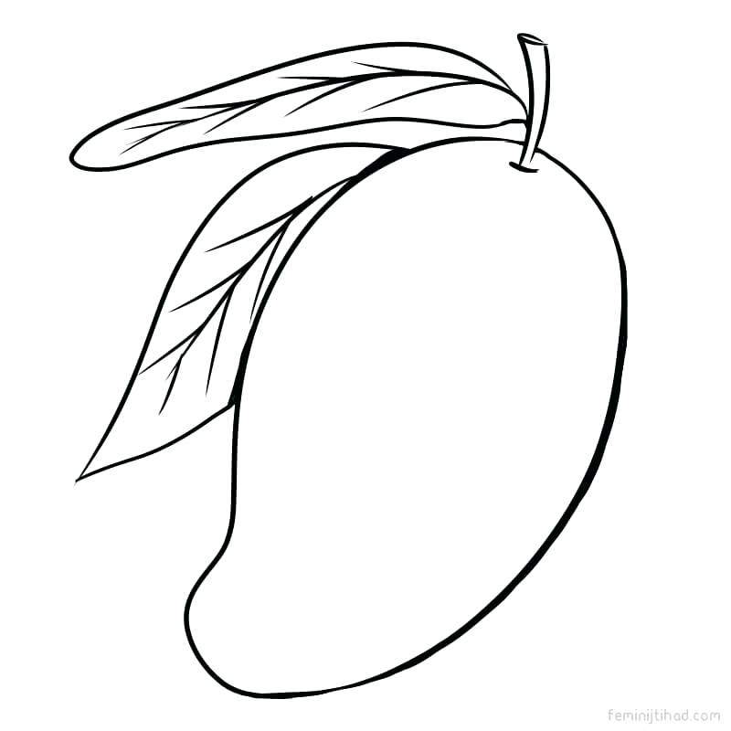 Collection of free download. Mango clipart drawing