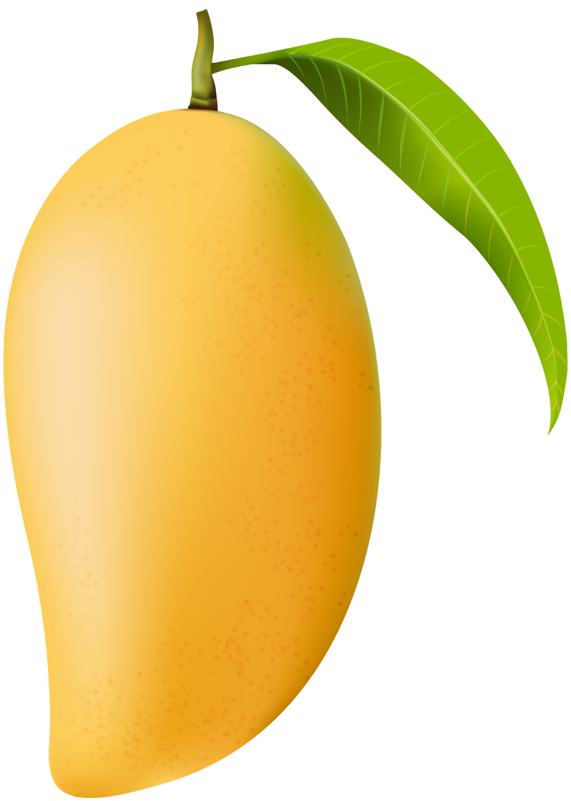 mango clipart four