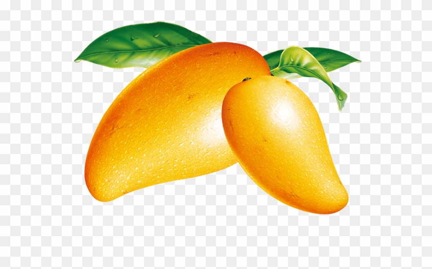 mango clipart fresh