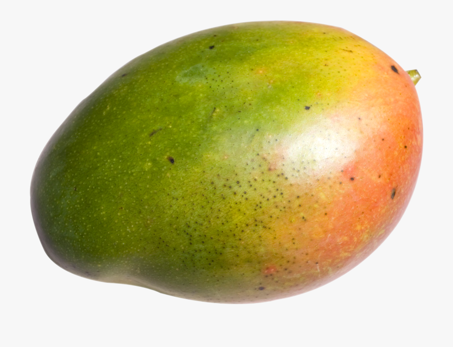 mango clipart fresh