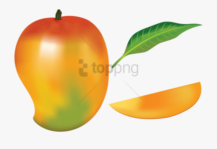 mango clipart fruit vegetable