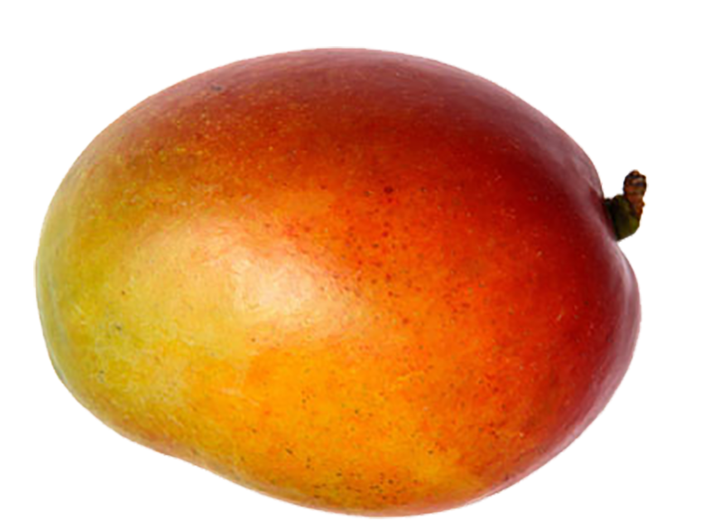 Mango clipart fruitsblack. Fruits creative culinary by
