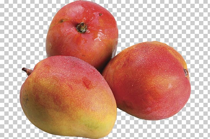mango clipart guava fruit