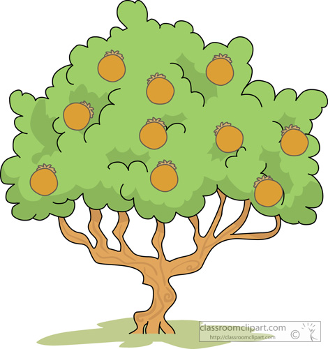 Mango clipart kid. Trees tree clipartix 