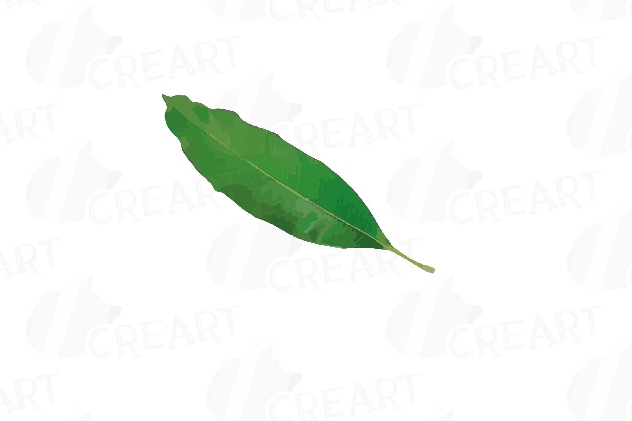 Watercolor clip art pack. Mango clipart leaf