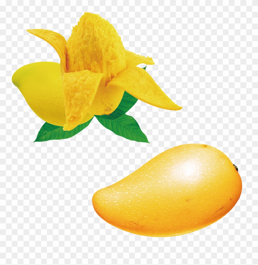 mango clipart mango seed