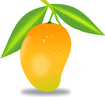 Mango clipart mango shape. Png picpng 
