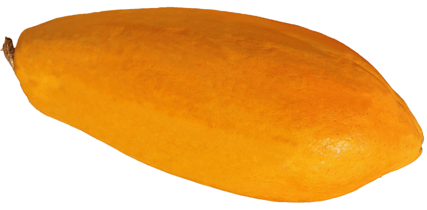 Fresh png free images. Mango clipart papaya