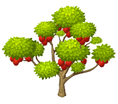 mango clipart rambutan tree