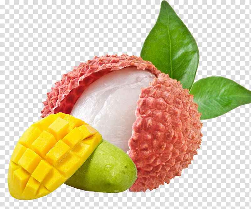 China lychee tropical fruit. Mango clipart rambutan tree