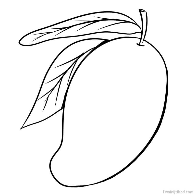 Mango clipart sketches. Images for drawing free