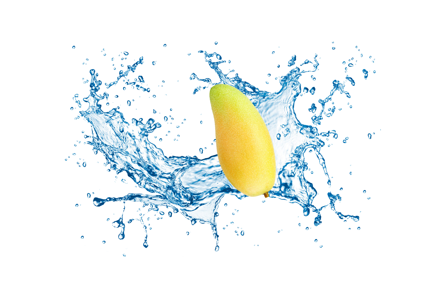 mango clipart splash