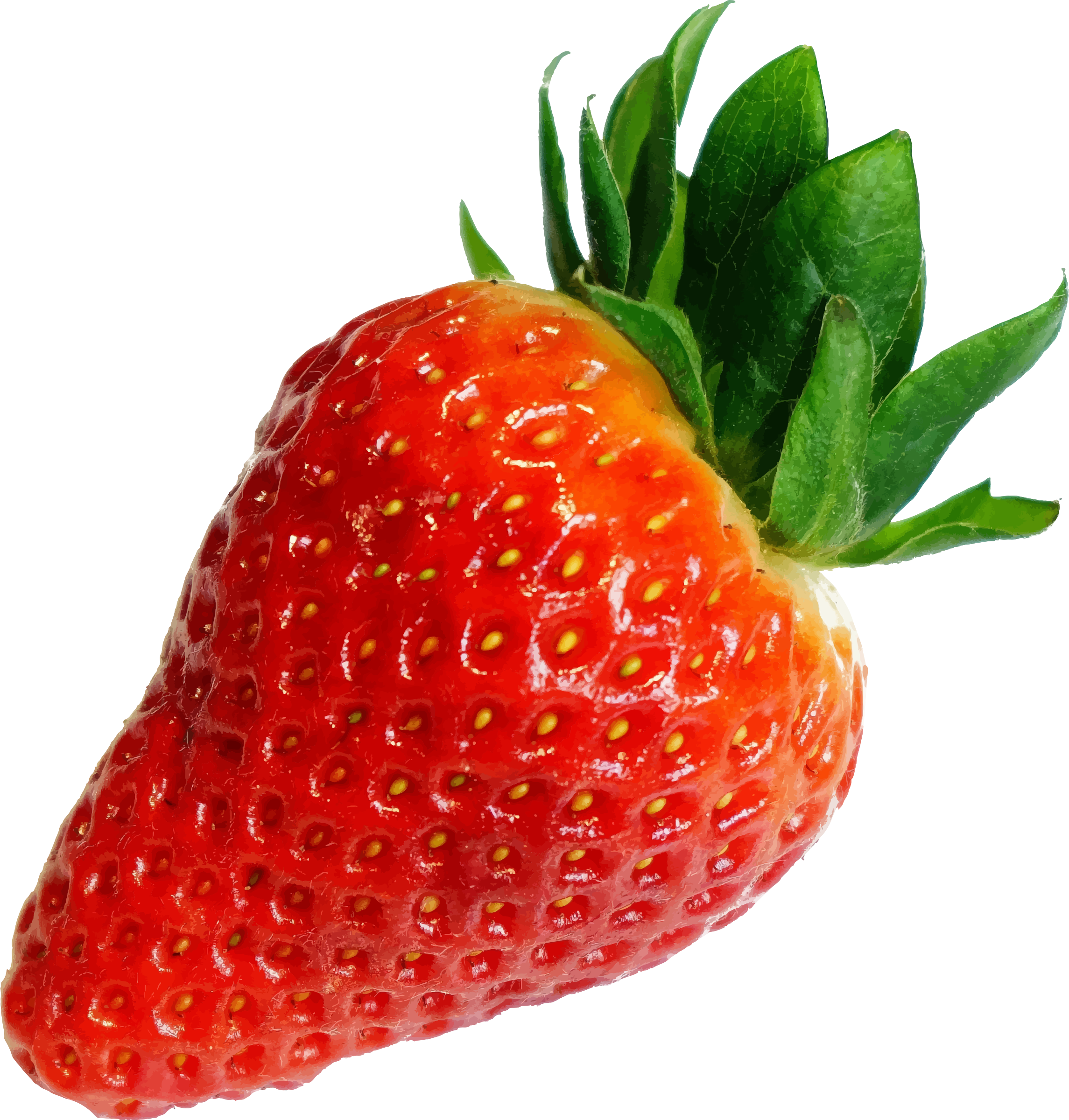 Png transparent free images. Strawberries clipart strawberry patch