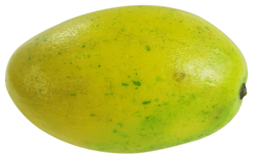 mango clipart top view