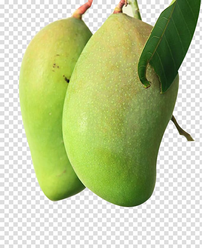mango clipart two