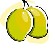 Mango clipart two, Mango two Transparent FREE for download on