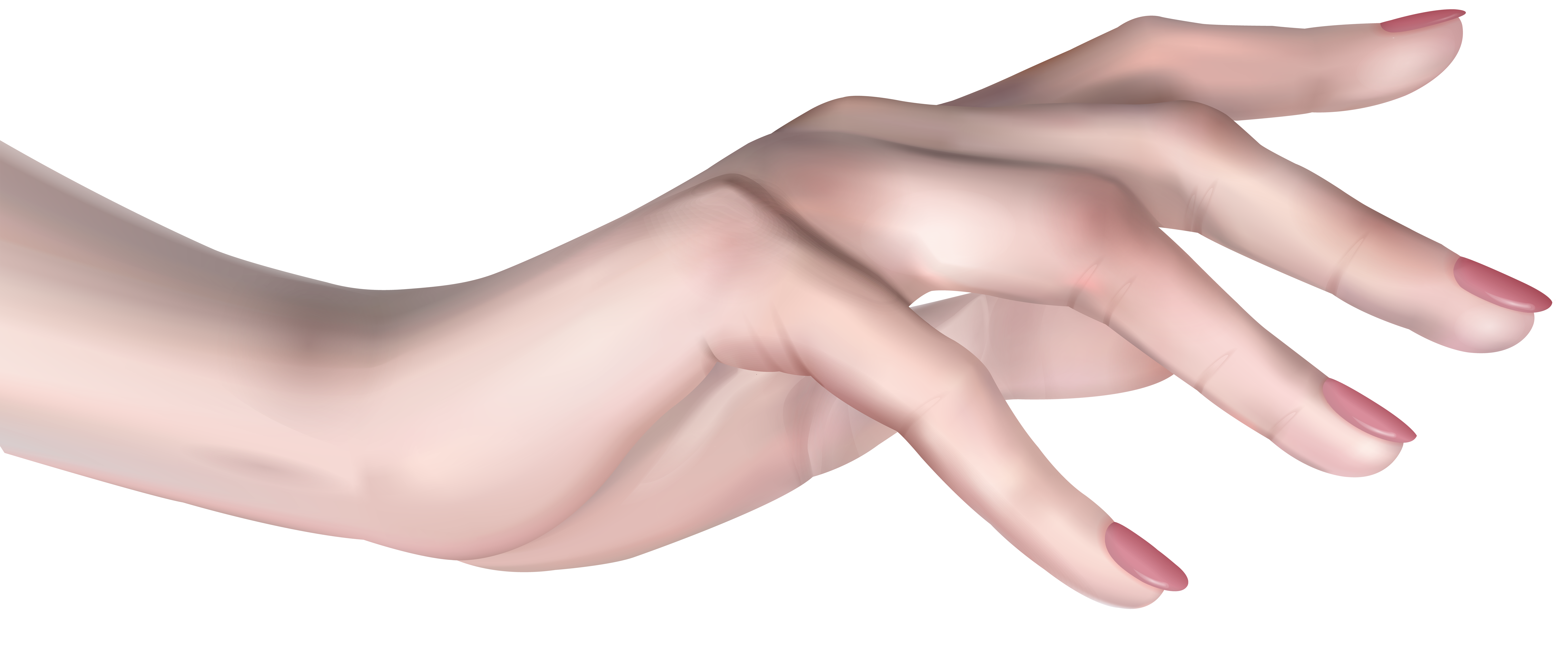 manicure clipart female hand