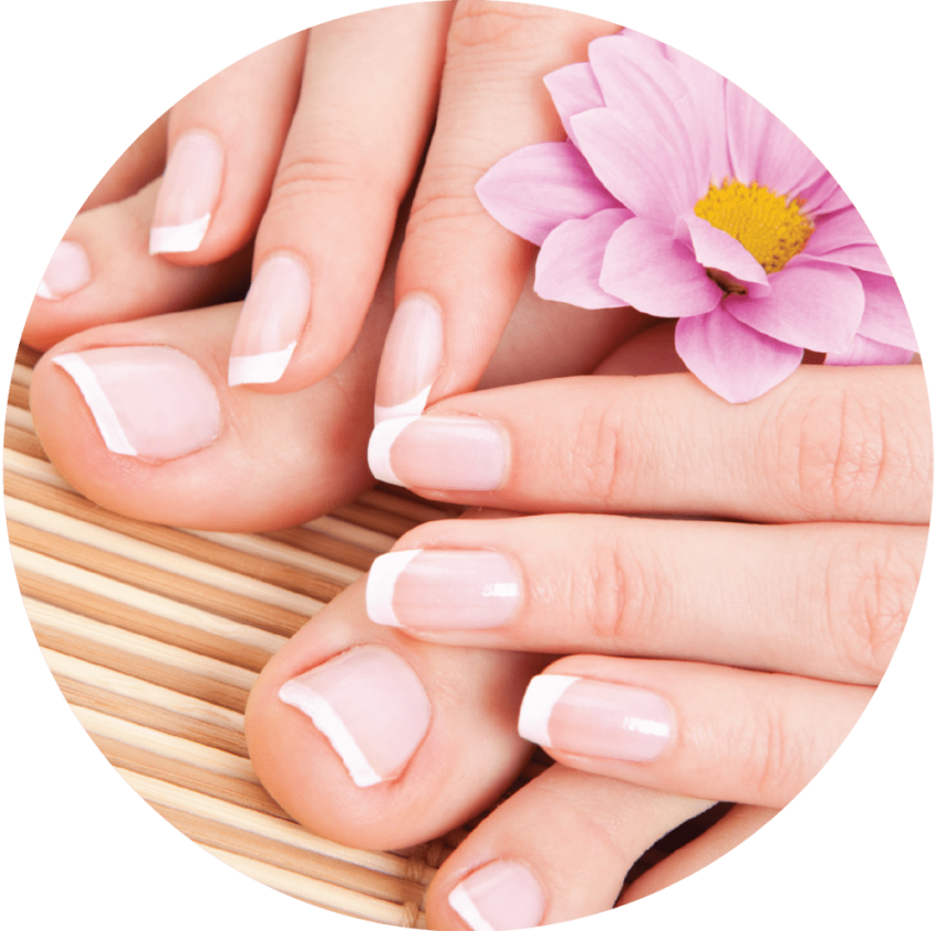 manicure clipart finger nail