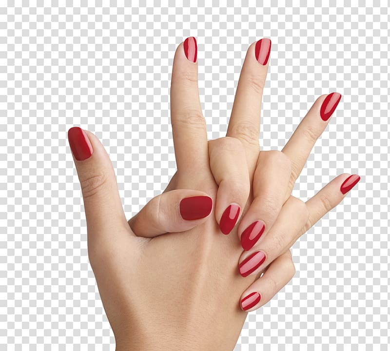 manicure clipart human nail