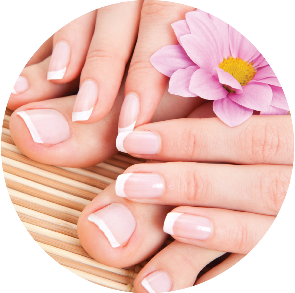 Manicure clipart manicure pedicure. Nails png image purepng