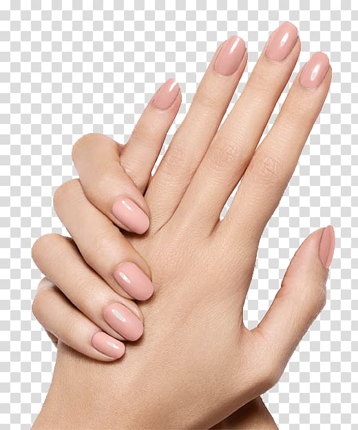 manicure clipart manicured hand