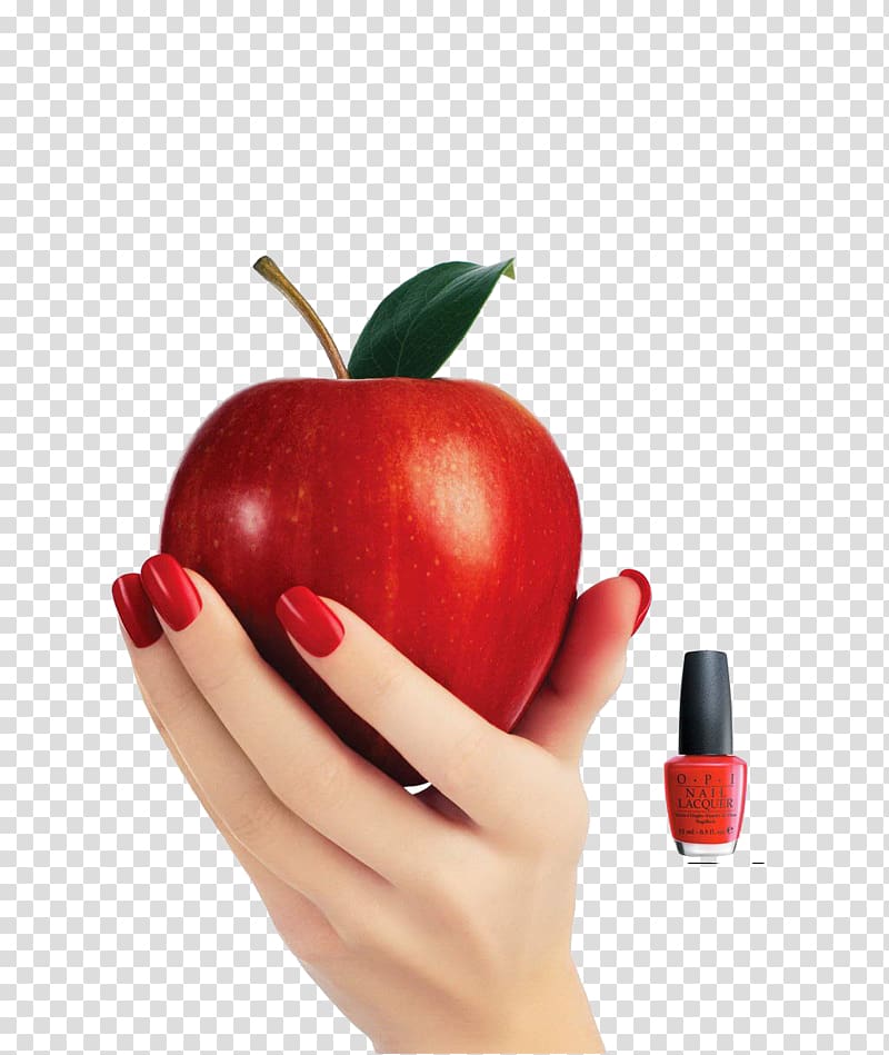 manicure clipart plate food