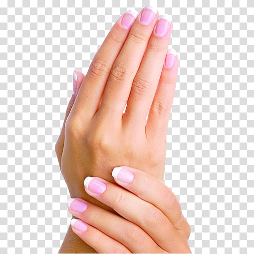 Manicure clipart polished nail. Person s hands lotion