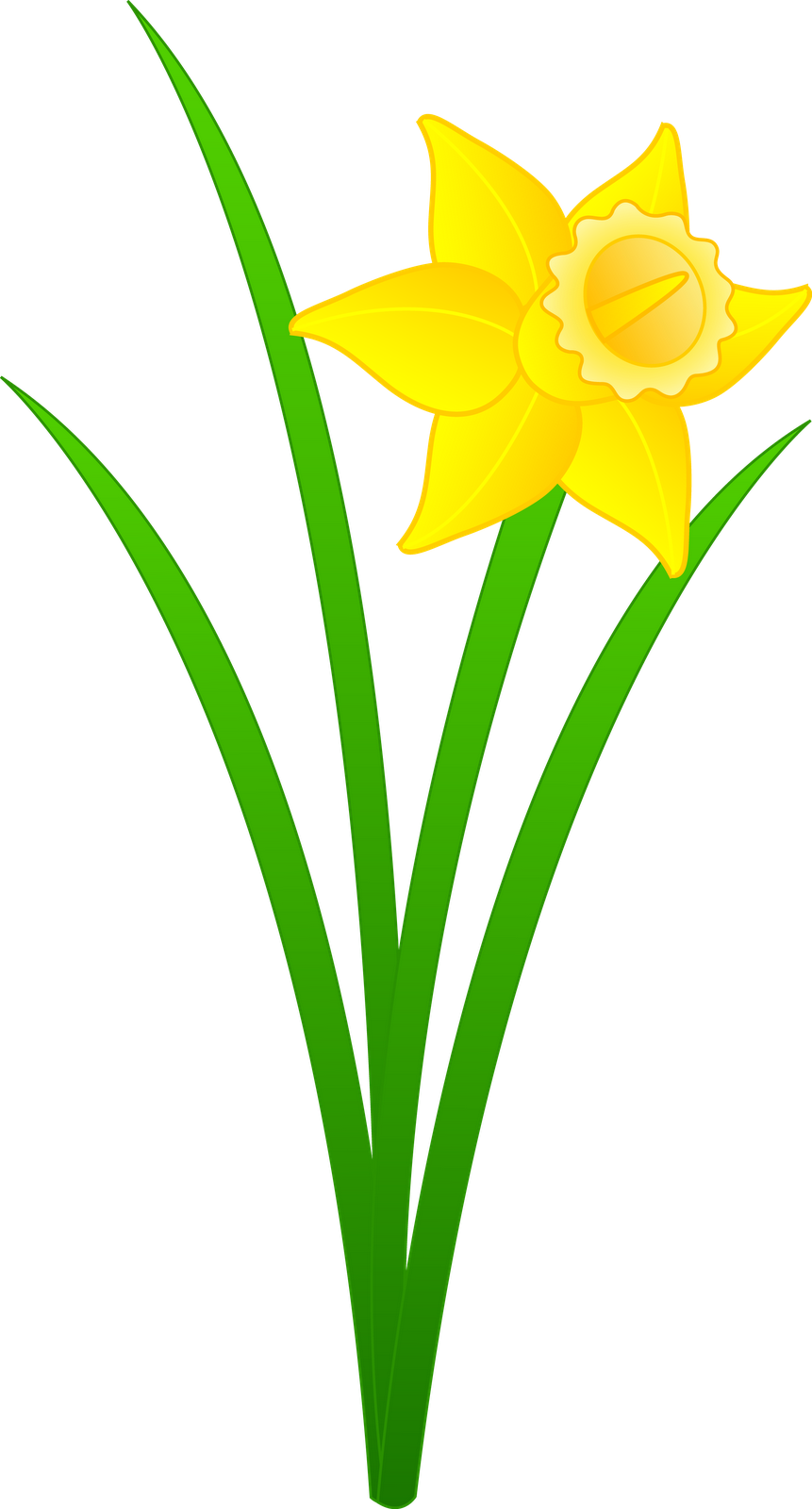 march clipart daffodil