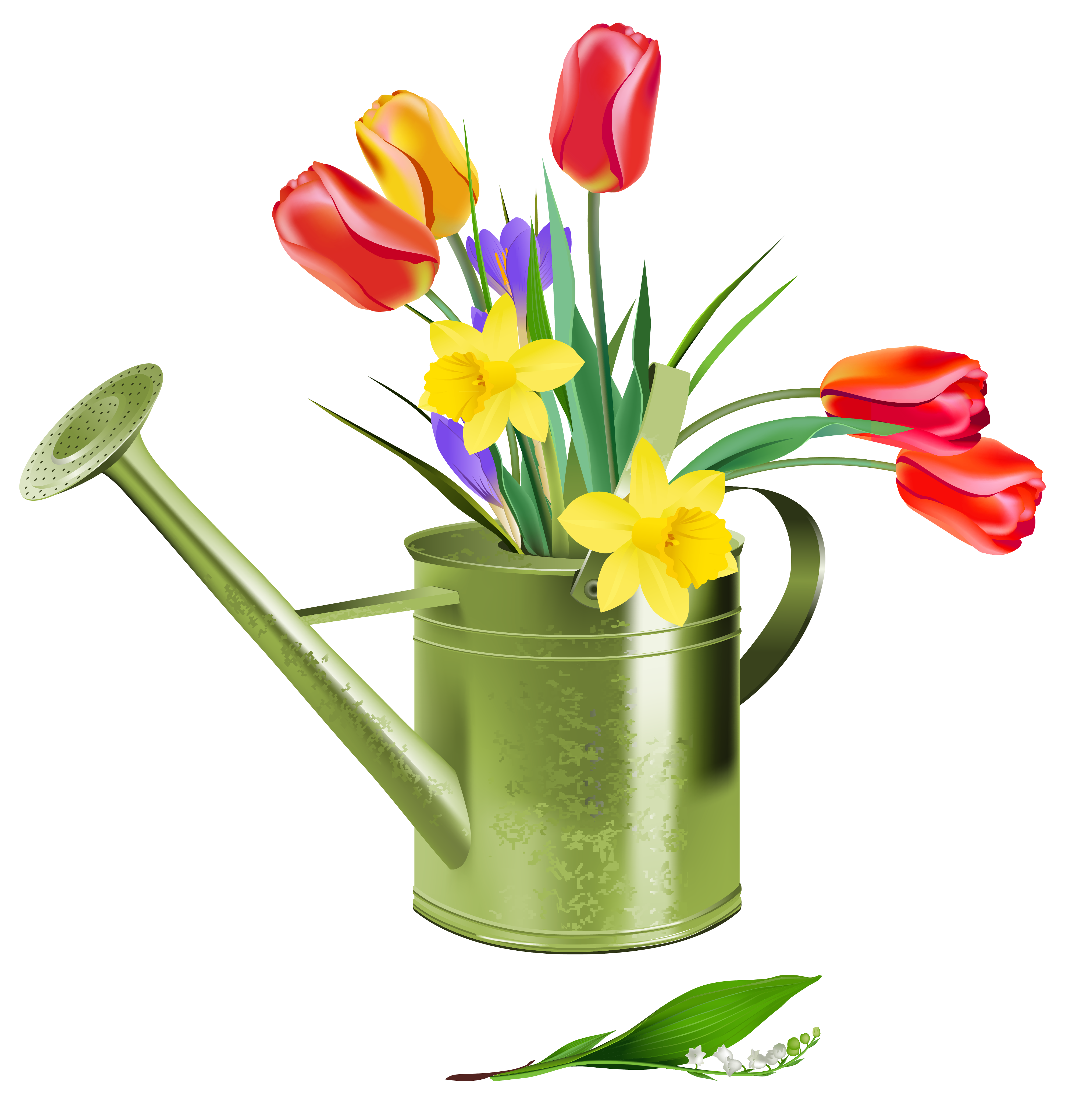 Vase clipart animal flower. Green watering can with