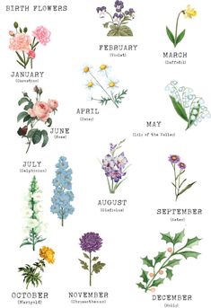 march clipart september flower