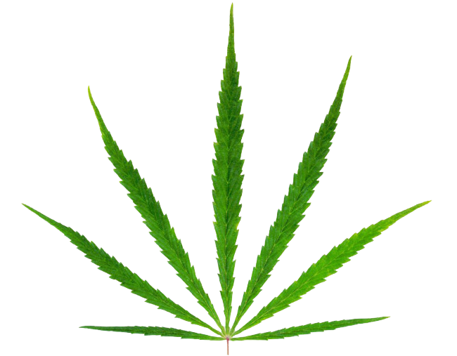 marijuana clipart copyrighted
