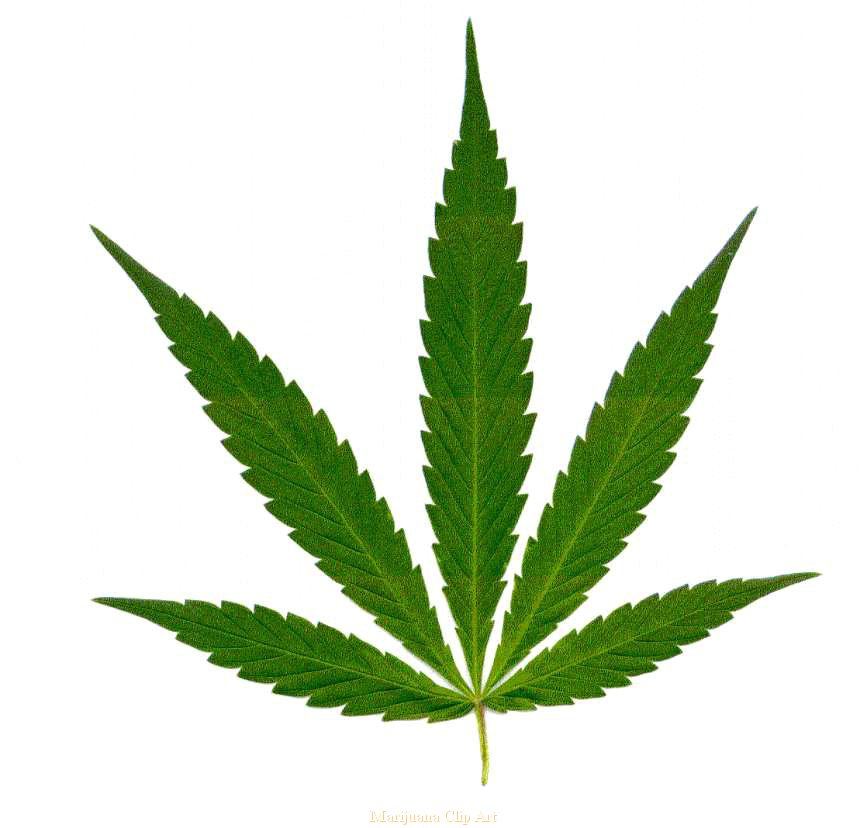 marijuana clipart hemp