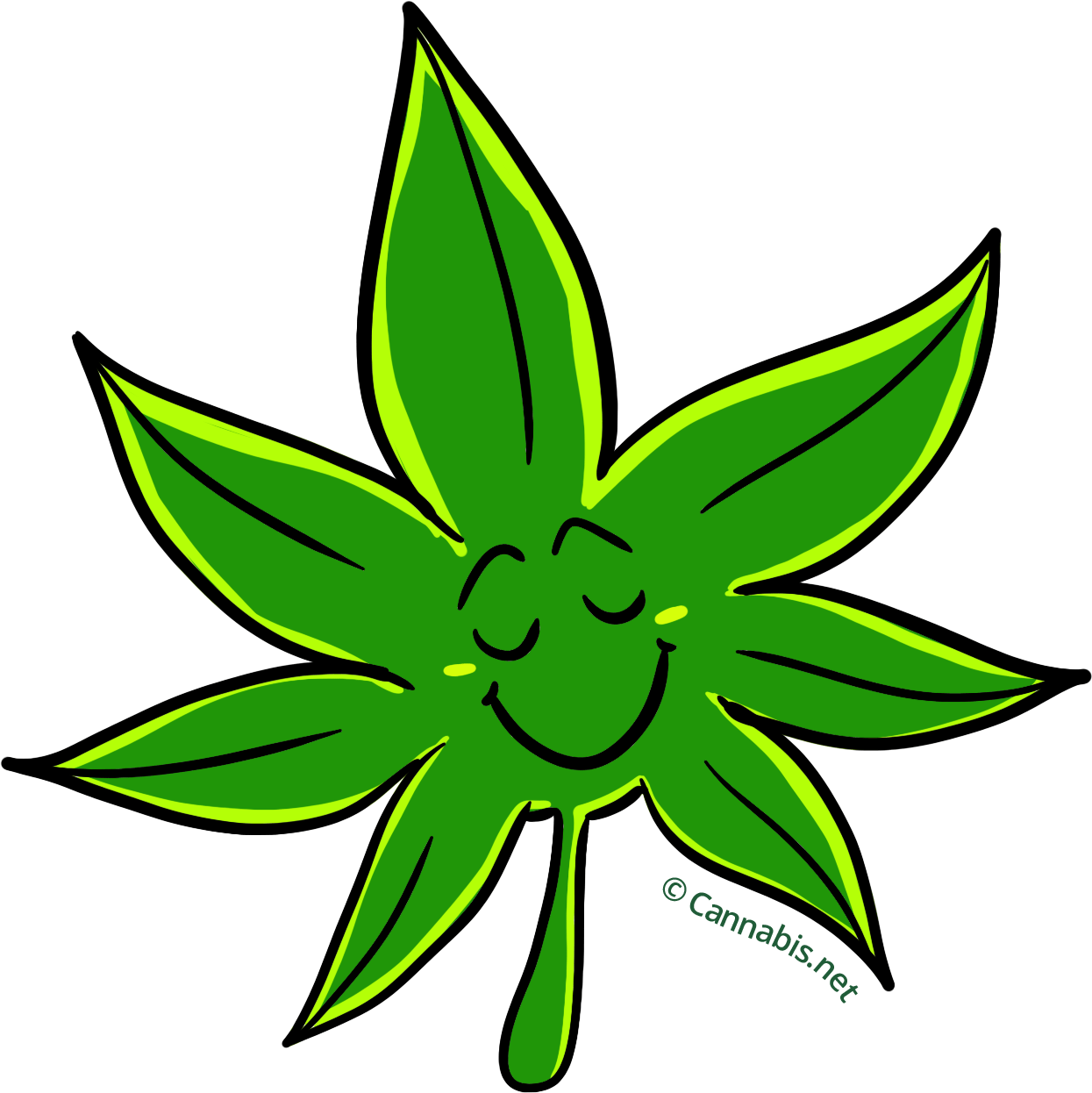 marijuana clipart tropical plant