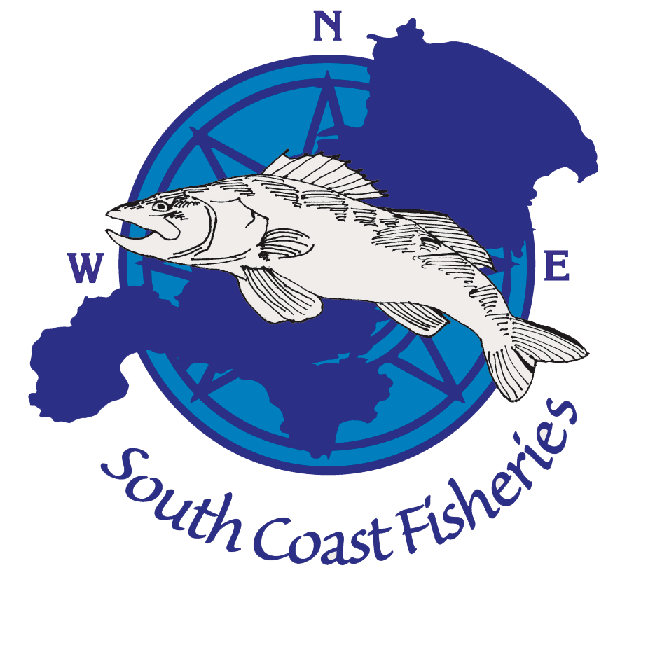 South coast fisheries . Market clipart fishmonger