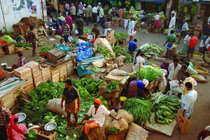 market clipart vegitable