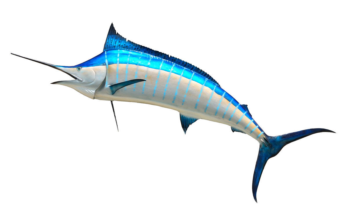 marlin clipart offshore fishing