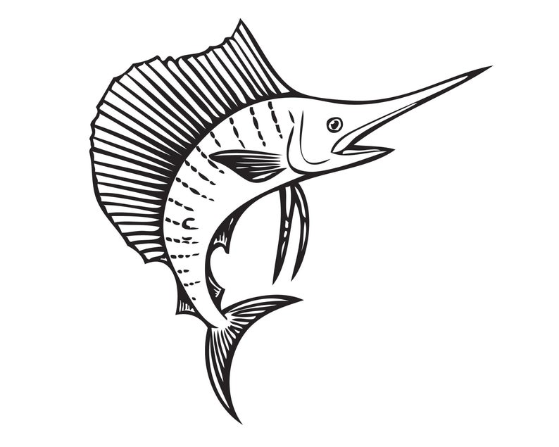 marlin clipart striped bass