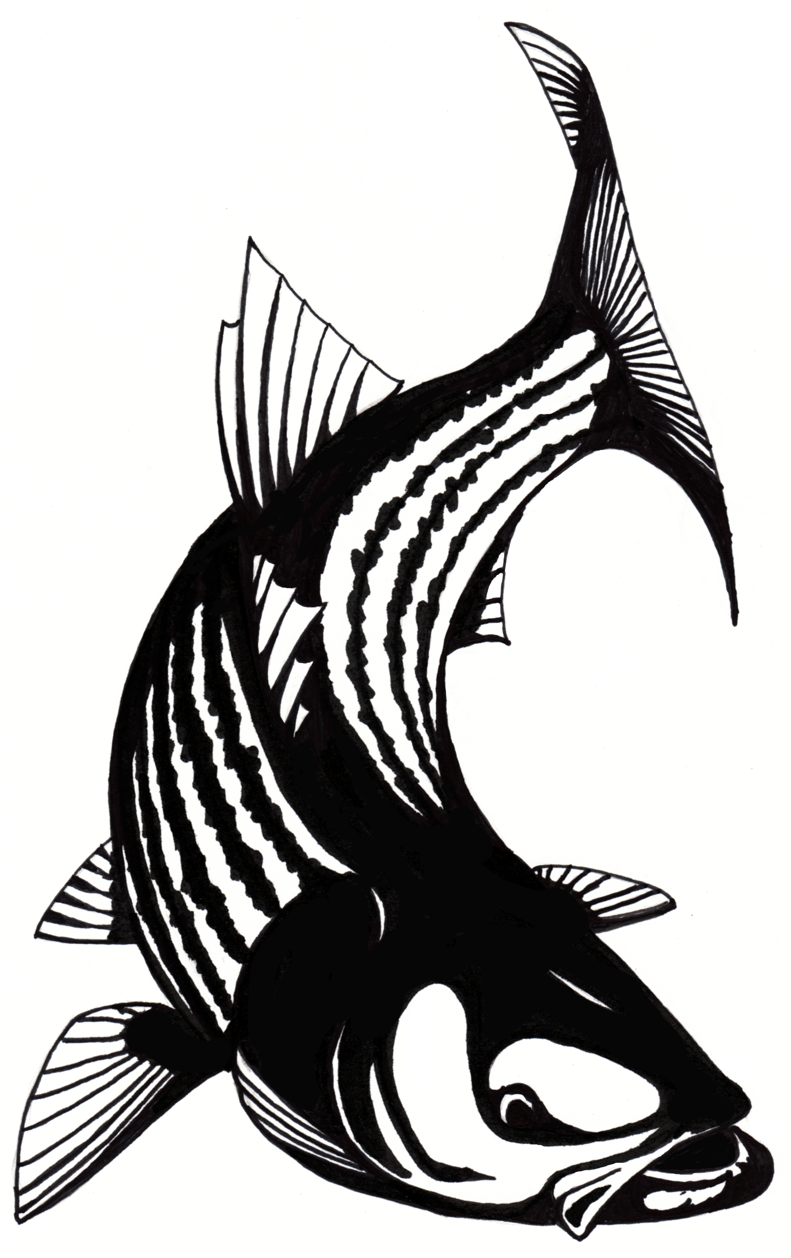 trout clipart logo