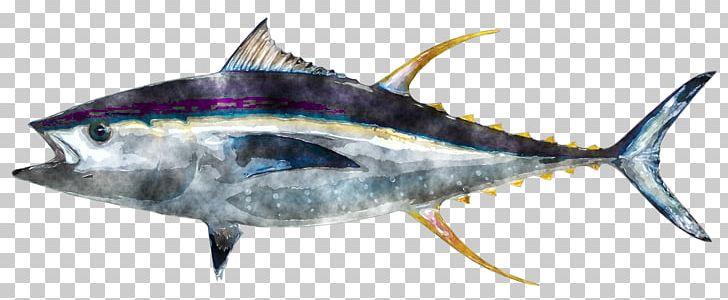 marlin clipart tuna