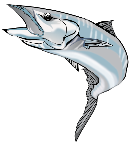 Download Marlin clipart wahoo, Marlin wahoo Transparent FREE for download on WebStockReview 2020