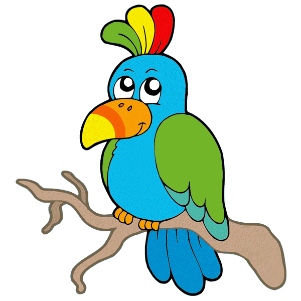 parrot clipart cute baby