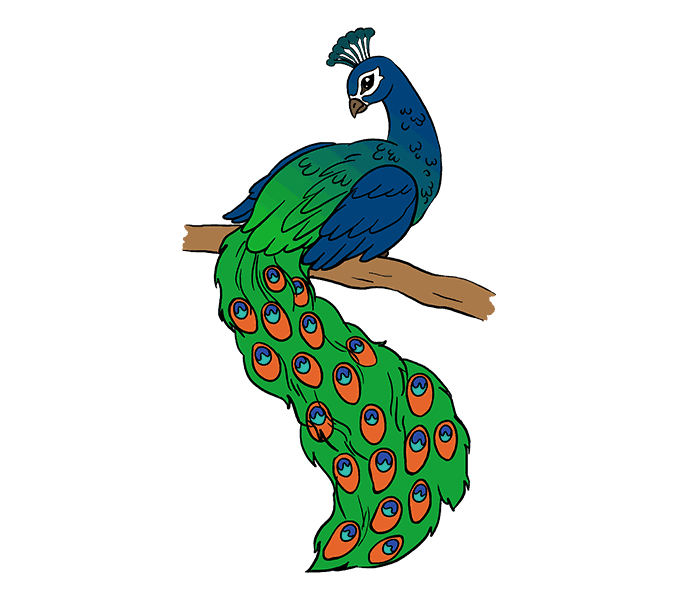mask clipart peacock