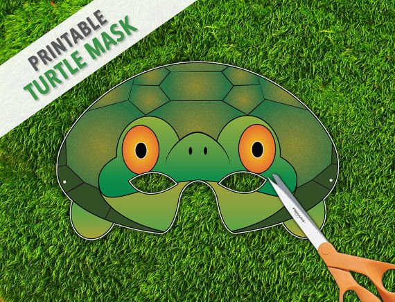 mask clipart tortoise