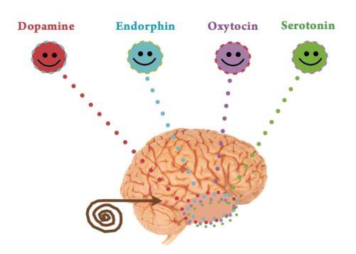 Endorphins and . Massage clipart oxytocin