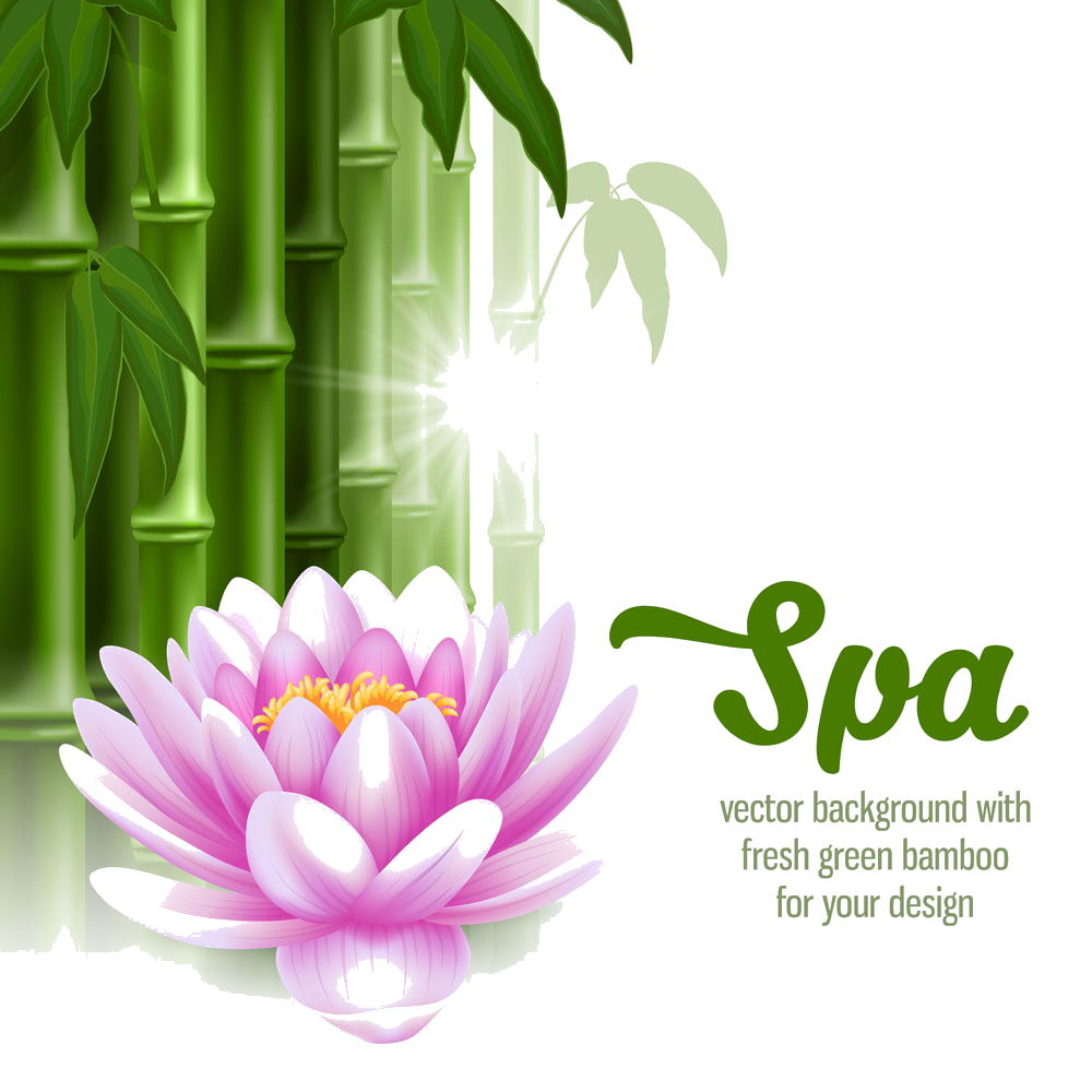 massages clipart vector