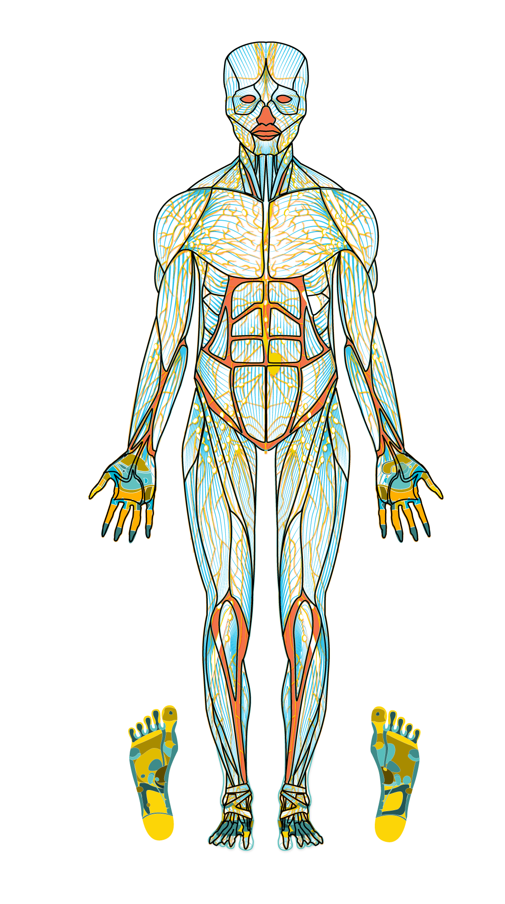 massages clipart vector