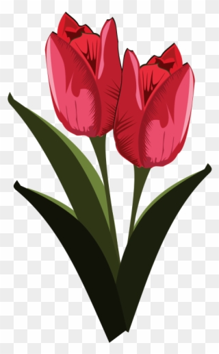 Free to use clip. May clipart red tulip