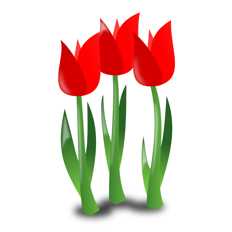 Mother day icon medium. May clipart red tulip